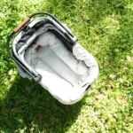 Ibiyaya All Season Pet Stroller Cushion Set, Thames Green