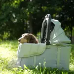 Ibiyaya All Season Pet Stroller Cushion Set, Thames Green