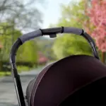 treat your dog australia - Professional Guide and Review