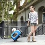 Ibiyaya EVA 5-in-1 Combo Pet Carrier, Pram & Backpack, Chocolate