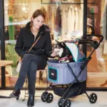Ibiyaya Easy Strolling Pet Buggy Pram, Simple Grey