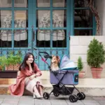 Ibiyaya Easy Strolling Pet Buggy Pram, Simple Grey