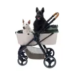 Ibiyaya Retro Luxe Pet Stroller for Cats & Dogs, Soft Sage