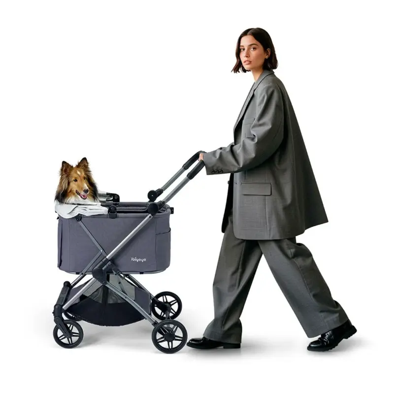 Ibiyaya Maxi Deep Carriage Pet Stroller, Twin Grey