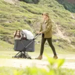 Ibiyaya Maxi Deep Carriage Pet Stroller, Twin Grey