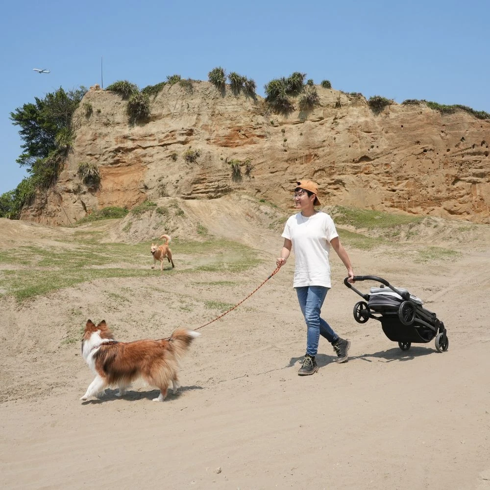 FS2501-G-6_2000x Ibiyaya Maxi Deep Carriage Pet Stroller, Twin Grey