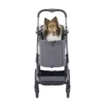 Ibiyaya Maxi Deep Carriage Pet Stroller, Twin Grey