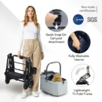 Ibiyaya Tinker Small Detachable Pet Stroller, Sage Green