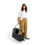 Ibiyaya Lyte 3-in-1 Detachable Pet Stroller, Pickle Green