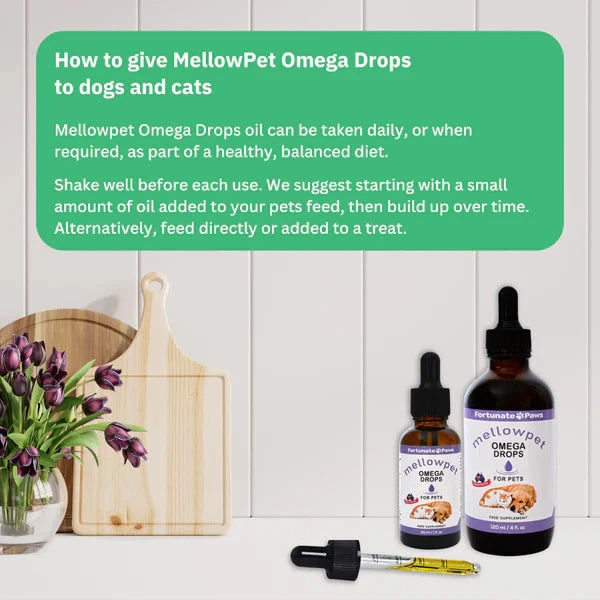 HowtogiveMellowpetOil_4ccc5845-268f-48af-b9d2-f0f5de317cb8_2000x Calming MellowPet Omega Drops
