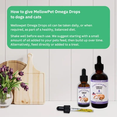HowtogiveMellowpetOil_4ccc5845-268f-48af-b9d2-f0f5de317cb8_400x Calming MellowPet Omega Drops