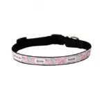 Personalised Dog Collar - Rainbow Dreams