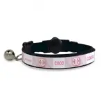 Personalised Cat Collar - Classic Chewnel