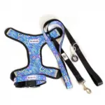 Personalised Pet Harness - Rainbow Dreams