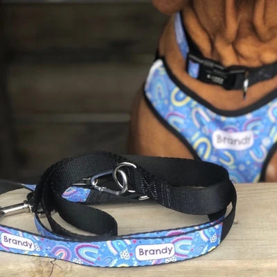 IDPL832-RainbowDreams_Blue_3_400x Personalised Dog Leash - Rainbow Dreams
