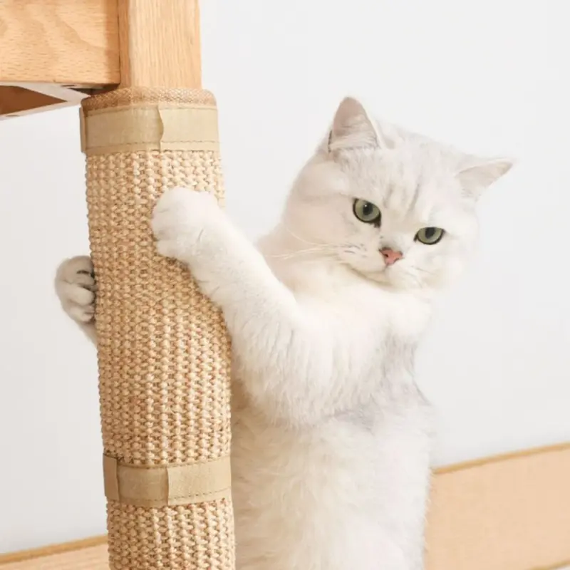 dog house houses - Professional Guide and Review