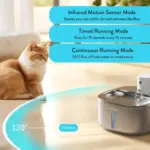 pet camera feeder - Professional Guide and Review