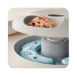 Petwant Automatic Wet Food Pet Feeder