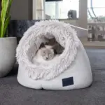 Calming Cat Dome, Aspen