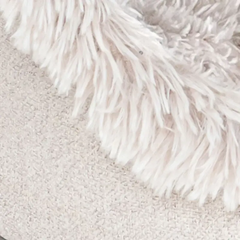 petbesty litter box - Professional Guide and Review