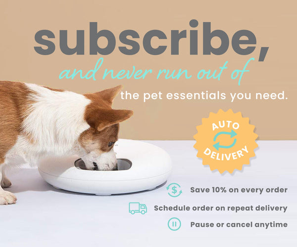 step in cat harness - Professional Guide and Review