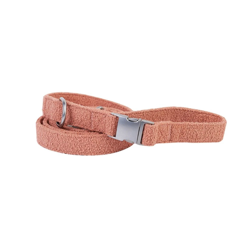 australian pet shop terracotta leash on golden retriever