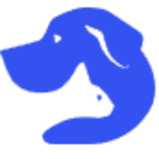 automatic pet feeder setup showing proper positioning in Australian home