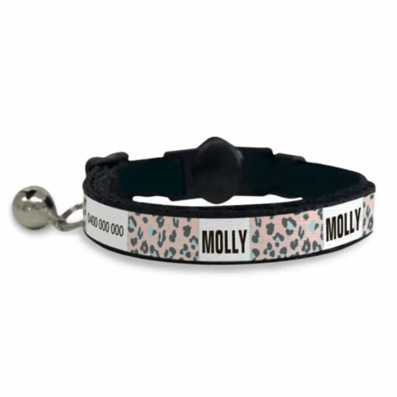 pet bicycle trailer - Professional Guide and Review