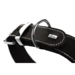 Hunter Aalborg Special Leather Dog Collar, Black