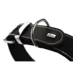 Hunter Aalborg Special Leather Dog Collar, Black