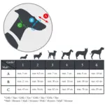 Hunter Dog Muzzle Albury