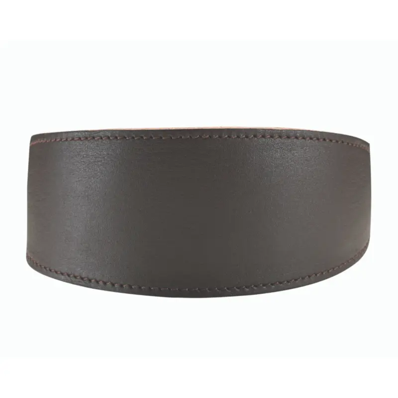 cat scratch post - Professional Guide and Review