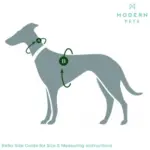 seat belt pets - Professional Guide and Review