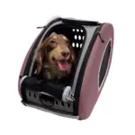 Ibiyaya EVA 5-in-1 Combo Pet Carrier, Pram & Backpack, Chocolate