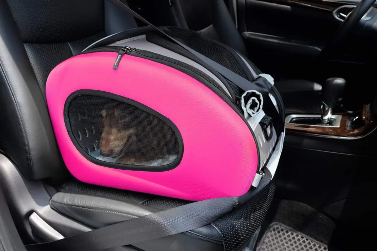 dog treat ball dispenser - Professional Guide and Review