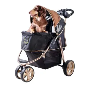 Ibiyaya Monarch Premium Pet Jogger Stroller, Luxury Gold