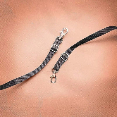 close-up of aluminium tri-glide on dog seat belts for cars