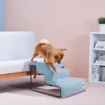Ibiyaya Everest II Pet Stairs for Dogs & Cats, Dusty Blue