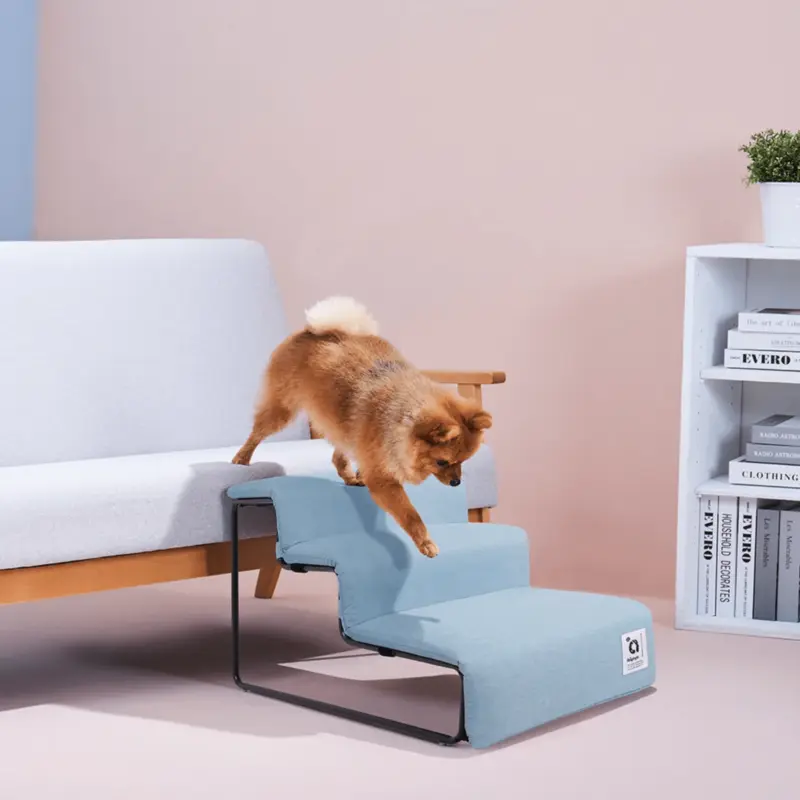 condo cat - Professional Guide and Review