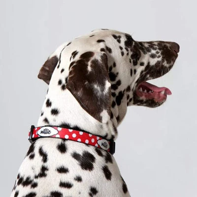 id-pet-dog-collar-personalised-dog-collar-spots-red-3907990978663_400x Personalised Dog Collar - Spots Red