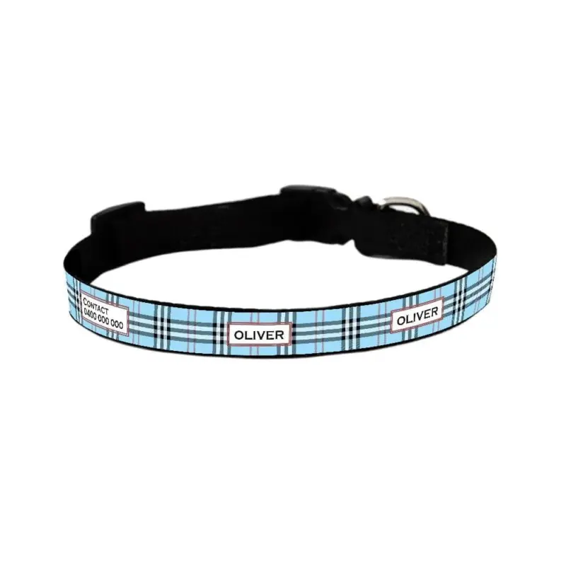 Personalised Dog Collar - Furberry, Blue