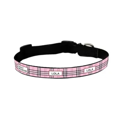 Personalised Dog Collar - Furberry, Pink