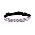 Personalised Dog Collar - Picnic Time