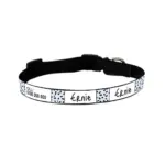 Personalised Dog Collar - Squiggle, Blue