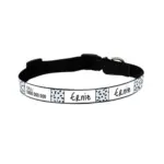 Personalised Dog Collar - Squiggle, Blue