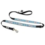 Personalised Dog Leash - Furberry, Blue
