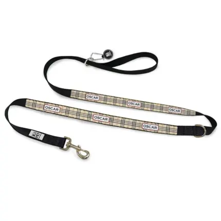 Personalised Dog Leash - Furberry, Oatmeal