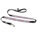 Personalised Dog Leash - Picnic Time
