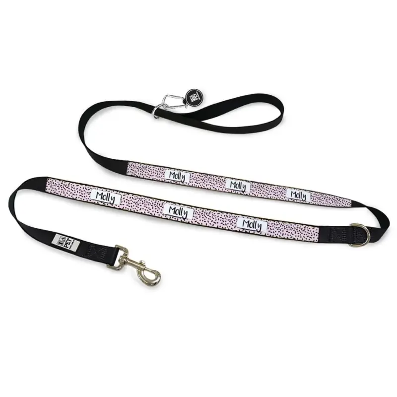 Personalised Dog Leash - Squiggle, Pink