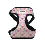 Personalised Pet Harness - Candy Hearts